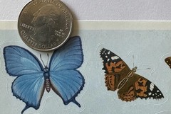 NATURAL BUTTERFLIES Stickers (14pc)Earth tone•Bugs•Wings•Flying •Card Making•