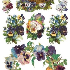 Violette Stickers – Pansy Wreath – 1 Spring Flowers Sticker Sheet – Scrapbooks