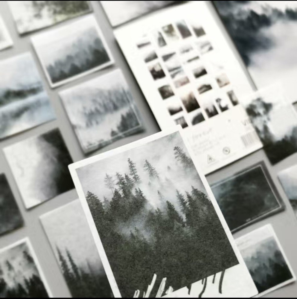 Lot Of 10 Foggy Forest Scrapbooking Washi Stickers Journaling/Craft Project