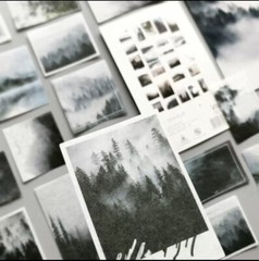 Lot Of 10 Foggy Forest Scrapbooking Washi Stickers Journaling/Craft Project