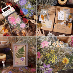 160Pcs Pre-Cut Scrapbooks Natural Stickers, Floral and Plant Sticker for DIY Cra