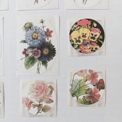 Set of 16 Brier Rose Victorian Flower Stickers – Oval And Circle