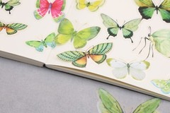 Butterfly sticker | butterflies nature green insect themed PET plastic