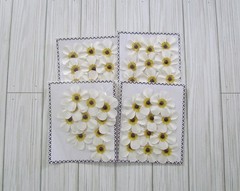 Daisies Layered paper flowers Black white daisy gem embellishment Fall 8 package