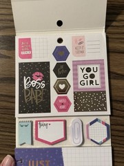 The Happy Planner Boss Babe Multipack 399 Pieces PLMP-04