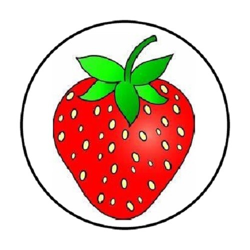 48 STRAWBERRY IMAGE !! ENVELOPE SEALS LABELS STICKERS 1.2″ ROUND