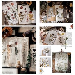 Large Dried Flower Stickers – 80PCS Waterproof Transparent Floral Decals for Jou