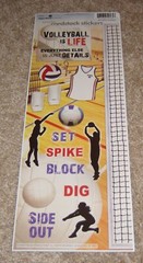 Paper House Cardstock Sticker Sheet ~ Sports….Volleyball