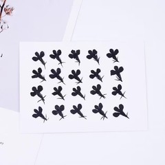 20PCS real Pressed dried Flower Dyed Black Flower for art craft FCD18