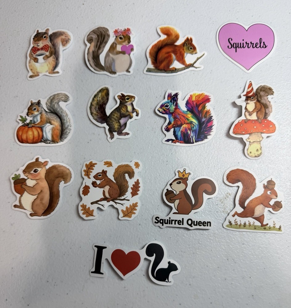 13Pcs Cartoon Squirrel Stickers, Waterproof, Love For Squirrels – New – Gift
