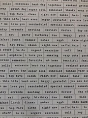 Park Lane Planner Accessories/Scrapbooking. 30 Sheets.