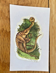 Vintage 80s Sticker Lot: Restored Dinosaur Brontosaurus T-Rex Stickers (READ)