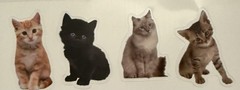 The Paper Studio Stickers Kittens Black Orange Grey Cute Realistic Scrapbook