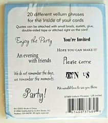 Jo-Ann You’re Invited Vellum Phrases Cards Birthday Scrapbook Invitation Party