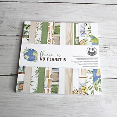 Scrapbook Cardstock Paper Pack Pads Chipboard Tags Embellishment 6×6 12 x 12 Lot