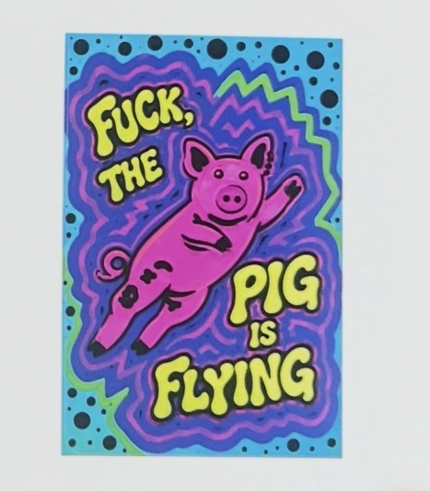 1 Custom Multicolor Profane Flying Pig Sticker Custom Art Acrylic Marker 3×2