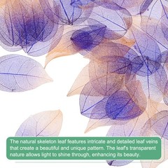 200-Pack Skeleton Leaves, Natural Rubber Leaves Vein[4-6cm, Purple Coffee]