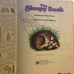 Little Golden Book The Sleepy Junk Journal Book Hardcover Margaret Wise Brown 81