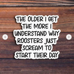 THE OLDER I GET THE MORE I UNDERSTAND ROOSTER STICKER JUNK JOURNAL PHONE PC A+