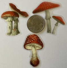 RED/WHITE MUSHROOM Mylar Stickers(6pc)Fungus•Dark•Garden •Toadstool•Spores•Grow•
