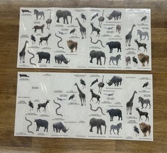 🐯 Huge Lot Of Zoo Safari Desert Animals Stickers Vintage Scrapbook Crafts Gifts