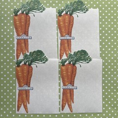 Vintage Blank Home Notecard & Garden Party Carrots Veggie Stationery Note Paper