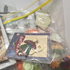 Traditions Scrapbooking Resin Embellishments Lot Woodland Wonders Jazz-Ups Cozy