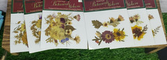 6 Darice Botanical Stickers – REAL Pressed/Dried FLOWERS