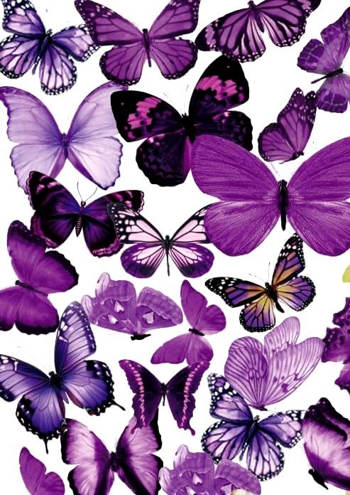 BEAUTIFUL VINYL BUTTERFLY STICKERS 7 7/8″X 5.75″ SHEET #1-Q PURPLE Fast Shipping