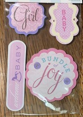 David Tutera Celebrate Baby It’s A Girl Welcome Bundle Joy 3 Steps Card Stickers