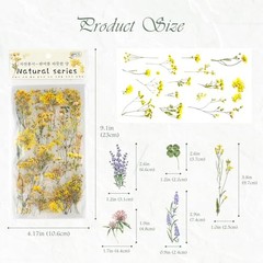 Transparent Flower & Plant – 48 Sheets – 48 Sheets – Natural Floral & Plant