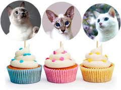 500 Pcs 1.5″ Cat Stickers for Kids and Teachers, Toddler Birthday Party