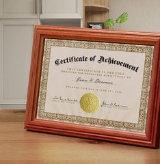 Embossed Gold Foil Certificate Seals, Seal of Excellence, 1.75″, 100 Count