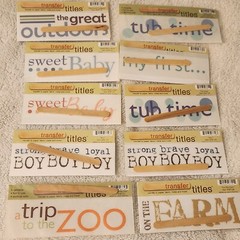 NEW Lot 10 MME Transfer Titles BABY ZOO FARM TUB TIME BOY FIRSTS Rub-ons -H