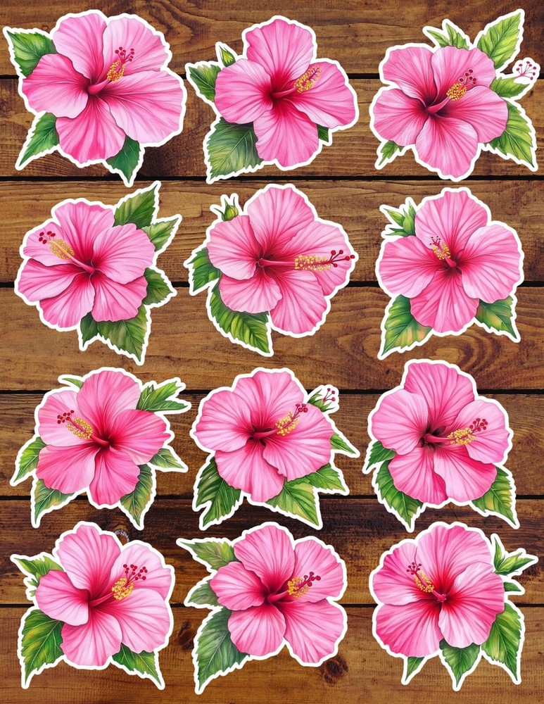 Pink Hibiscus Die Cut Vinyl Stickers Set Scrapbooking Laptop Waterbottle