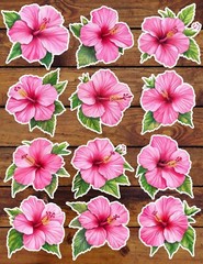 Pink Hibiscus Die Cut Vinyl Stickers Set Scrapbooking Laptop Waterbottle