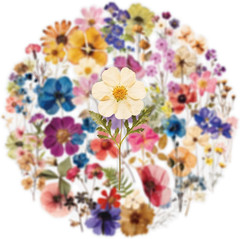 50PCS Transparent Flora Scrapbook Stickers, Vintage Aesthetic Flowers Sticker fo