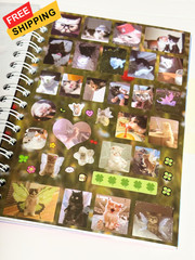 Cat Sticker Book, 30 Pages Over 800 + 10pcs Creative Kawaii Style 1
