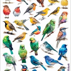 Violette Stickers – Birds – 1 Rainbow Bird Sticker Sheet – Stationery Crafts