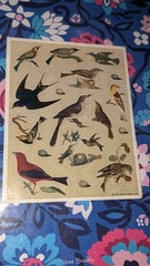 Vintage Hallmark Stickers Birds 1 sheet