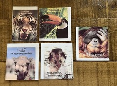 Vintage 1979 Hallmark Cards Humorous Animal Stickers Sayings Collectible