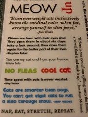 AMERICAN TRADITIONAL DESIGNS LIL’ MESSAGES ‘MEOW MESSAGES’ 20PCS