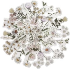 44 Irregular Vinyl Daisy Stickers – Watercolor Aesthetic for Every Surface
