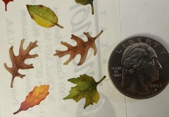 FALL LEAVES Stickers(15pc) Creative Memories•Autumn •Fall•Colorful•Card Making