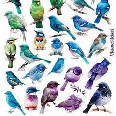 Violette Stickers – Birds – 1 Rainbow Bird Sticker Sheet – Stationery Crafts