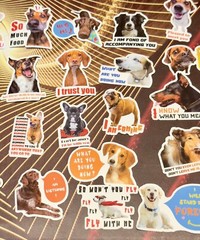 50 Pieces Bundle Pack Dog Theme Stickers Decal High Glossy Finish