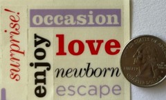 FAMILY PHRASE Mylar Stickers (26pc)Toddler•Mother•Celebrate• W/love•Card Making•