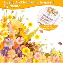 Pressed Dried Flowers for Resin Crafting, Natural Preserved Petals & Leaves f…