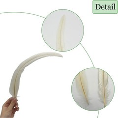 50pcs White Long Rooster Coque Tail Feathers 12-14Inches for Hat Costume Deco…