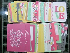 We R Memory Keepers Pocket Page Cards, Captured, 155 Cards, 155CAP Retired